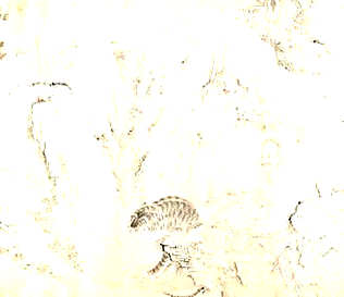 [S]神通广大[M]shén  tōng  guǎng  dà[E]