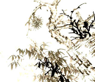 [S]杀鸡焉用牛刀[M]shā  jī  yān  yòng  niú  dāo[E]