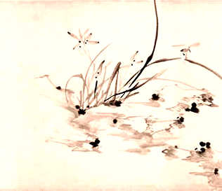 [S]丧门星[M]sàng  mén  xīng[E]