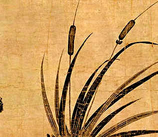 [S]爱屋及乌[M]ài  wū  jí  wū[E]