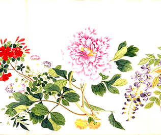 [S]壮夫不为[M]zhuàng  fū  bù  wéi[E]