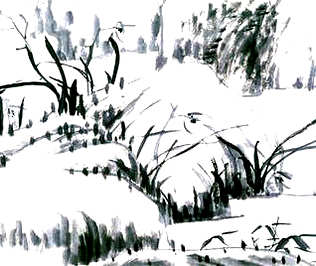 [S]临深履薄[M]lín  shēn  lǚ  bó[E]