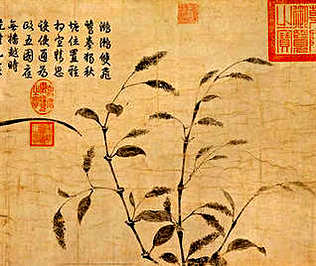 [S]云迷雾锁[M]yún mí wù suǒ[E]