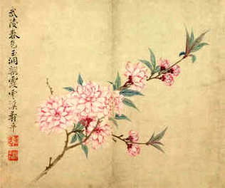 [S]蒲柳之质[M]pú liǔ zhī zhì[E]