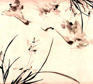 [S]鸿衣羽裳[M]hóng yī yǔ shang[E]