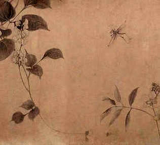 [S]金不换[M]jīn  bù  huàn[E]