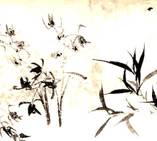 [S]厝薪于火[M]cuò  xīn  yú  huǒ[E]