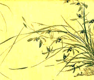 [S]焕然如新[M]huàn rán rú xīn[E]